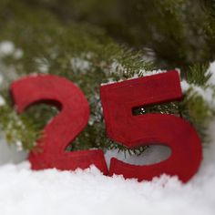 the number twenty five is placed in the snow