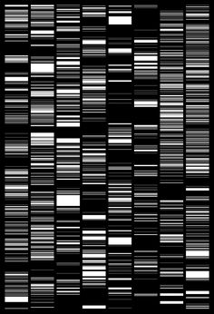 a black and white image of many lines in the same pattern, with different colors