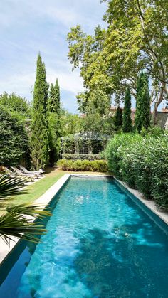 an empty swimming pool surrounded by greenery and trees in a backyard with blue water