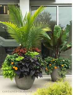 two large planters with plants in them sitting on the side of a building next to each other