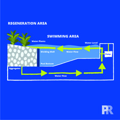 a diagram of the regeneration area for swimming areas, including water flow and drainage