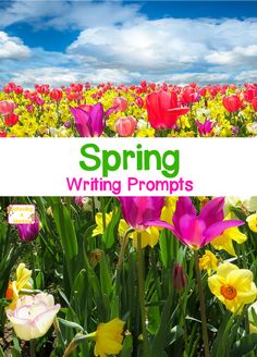 a field full of colorful flowers with the words spring writing prompts in front of it