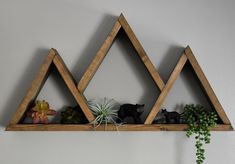 three wooden triangle shelves with plants and rocks in them on a wall above a potted succulent plant