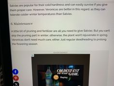 a computer screen showing an ad for coldest at the game