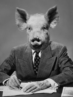 a pig wearing a suit and tie sitting at a desk with papers in front of him