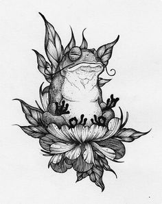 a drawing of a frog sitting on top of a flower