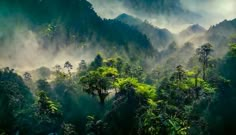 the mountains are covered in mist and trees