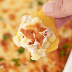 a hand holding a cracker over a casserole dish with chicken and cheese