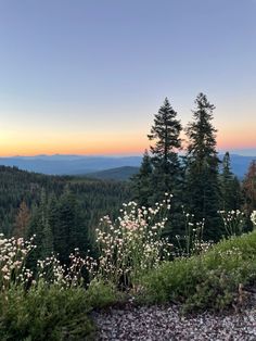 the sun is setting over some trees and flowers on top of a hill with mountains in the background