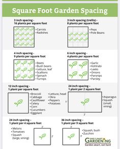 the instructions for how to make square foot garden spacing with pictures and text on it