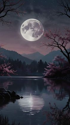 the full moon is setting over a lake with trees and rocks in front of it