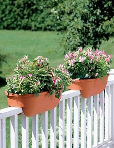 two flower pots are sitting on the top of a white fence with pink flowers in them