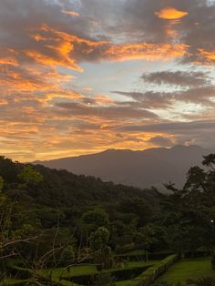 the sun is setting over some trees and bushes in front of a mountain range with clouds