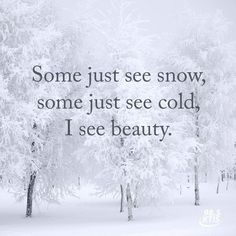 some trees in the snow with a quote on it that says, some just see snow, some just see cold i see beauty