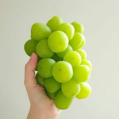 a hand holding a bunch of green grapes in front of a white wall with no one around it