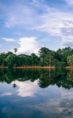 the trees are reflected in the still water on the lake's surface, while the sky is partly cloudy