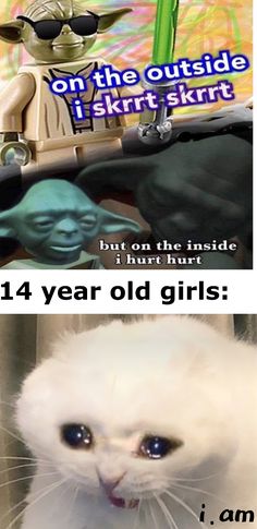 two pictures with the same caption and one has an image of baby yoda