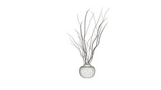 a vase with some branches in it on a white background