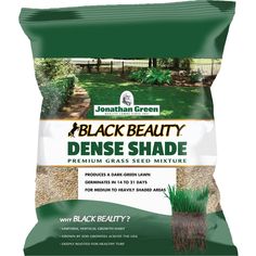 black beauty dense shade grass seed mixture