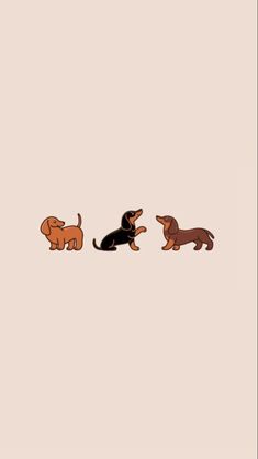 three dogs are standing in the same direction on a beige background, one is black and one is brown