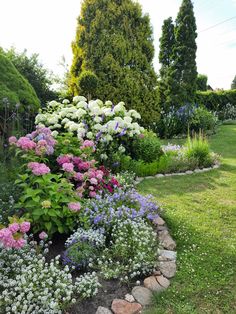 a garden filled with lots of different types of flowers