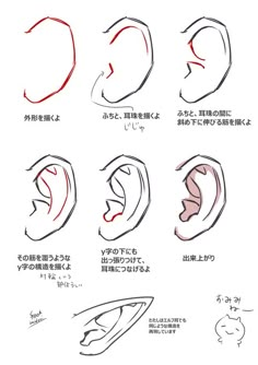 various types of ear shapes and their meanings