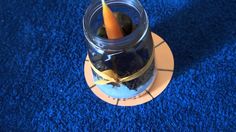 a carrot sticking out of a jar filled with water on top of a blue carpet