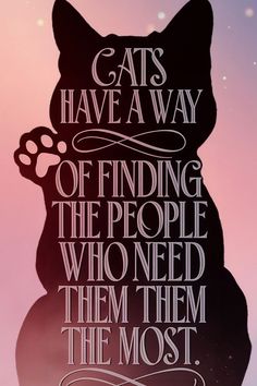 A silhouette of a cat and a quote about cat love, perfect for sharing during cat national day activities. Cat Person Quotes, Quotes About Cats Love, Cat Owner Quotes, Cat Mom Quotes, Quotes About Cats, Owner Quotes, Animal Lover Quotes, Funny Cat Quotes