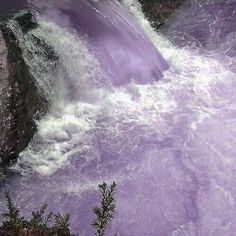 the water is purple and white in color