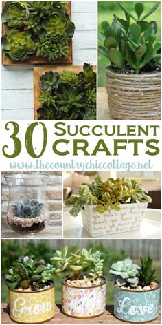 several different succulent crafts with the words 30 succulent crafts on them