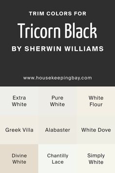 the tricorn black by sherylin williams color chart for furniture and decor