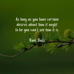 a tree branch with the quote as long as you have certain desireds about how it taught to be you can't see how it is