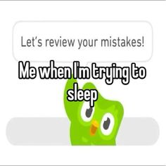 an owl with the words, let's review your mistakes me when i'm trying to sleep