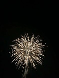 fireworks are lit up in the night sky