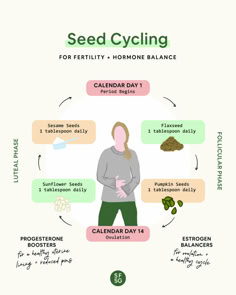 Boost Fertility, Seed Cycling, Longevity Diet, Too Much Estrogen