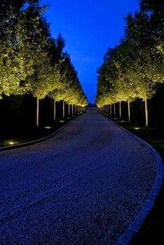 an empty road surrounded by trees at night