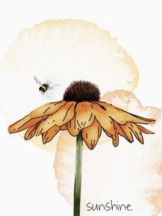 a drawing of a flower with a bee on it and the words sunshine written below