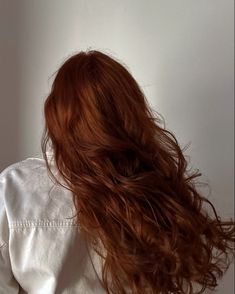 Dark Ginger Brunette Hair, Straight Red Hair Aesthetic, Cinnamon Hair Aesthetic, Dull Red Hair, Red Light Brown Hair Color, Red Hair Grown Out Roots, Red Head Faceless Aesthetic, Darker Ginger Hair, Brunette To Redhead