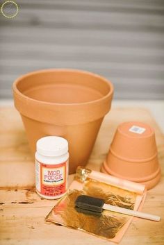 a potted plant sitting on top of a wooden table next to a paintbrush