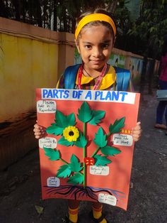 Plant Parts Activities, Living And Non Living Things Project, Plant Projects For Kids, Preschool Poems