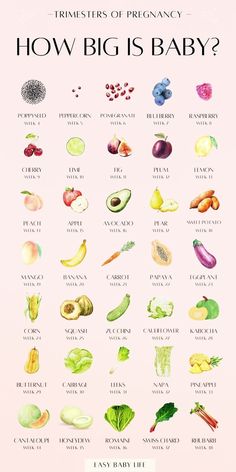 a poster with different fruits and vegetables on it's back side, which says how big is baby?