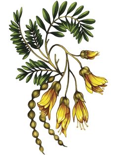 a drawing of some yellow flowers and green leaves on a white background with the words