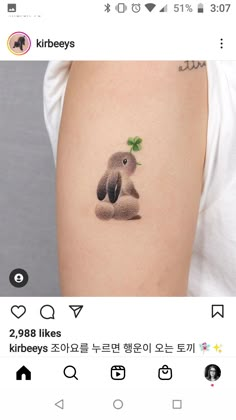 a small koala tattoo on the right arm and shoulder, with an image of a koala sitting on top of it