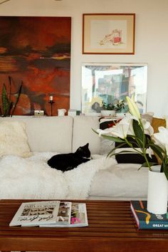 a cat laying on top of a white couch in a living room next to a coffee table