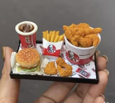 a tray that has some food on it and french fries in the other side with ketchup