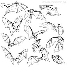 some drawings of bats flying in the air