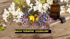 a bottle of essential oils next to flowers on a wooden table with the words bach terpisi cekler