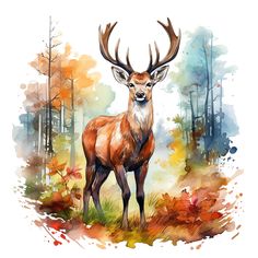 a deer standing in the middle of a forest with lots of trees and leaves around it