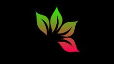 a green and red leaf logo on a black background