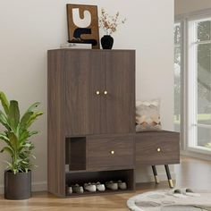 a living room with a plant in the corner and a wooden cabinet next to it